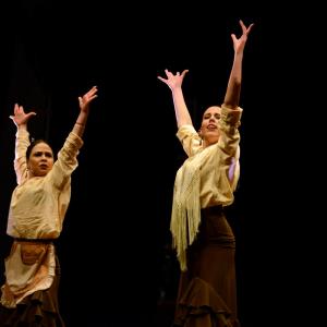 Fotografía de Concurso de coreografías. Nivel II - Conservatorio de Danza