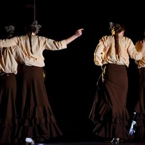 Fotografía de Concurso de coreografías. Nivel II - Conservatorio de Danza