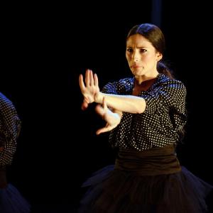 Fotografía de La muerte del deseo - Conservatorio de Danza