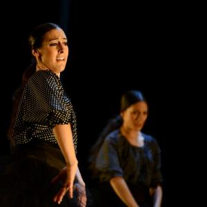 Fotografía de La muerte del deseo - Conservatorio de Danza
