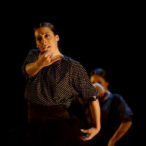 Fotografía de La muerte del deseo - Conservatorio de Danza