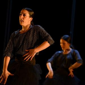 Fotografía de La muerte del deseo - Conservatorio de Danza