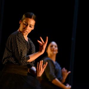 Fotografía de La muerte del deseo - Conservatorio de Danza
