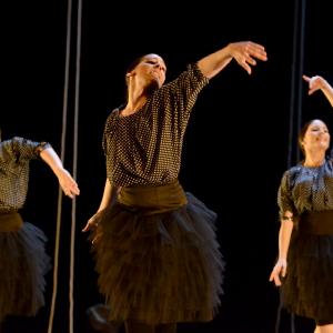 Fotografía de La muerte del deseo - Conservatorio de Danza