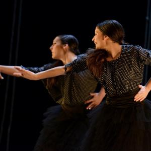 Fotografía de La muerte del deseo - Conservatorio de Danza