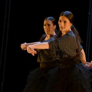 Fotografía de La muerte del deseo - Conservatorio de Danza