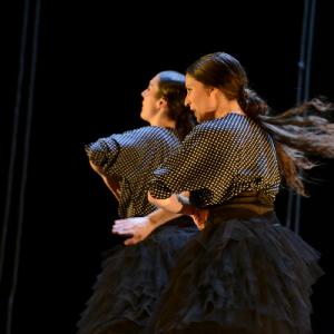 Fotografía de La muerte del deseo - Conservatorio de Danza