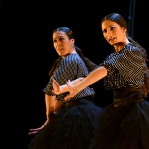 Fotografía de La muerte del deseo - Conservatorio de Danza
