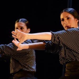 Fotografía de La muerte del deseo - Conservatorio de Danza