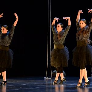 Fotografía de La muerte del deseo - Conservatorio de Danza