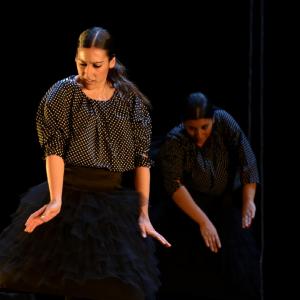 Fotografía de La muerte del deseo - Conservatorio de Danza