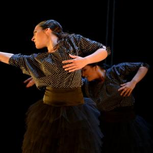 Fotografía de La muerte del deseo - Conservatorio de Danza