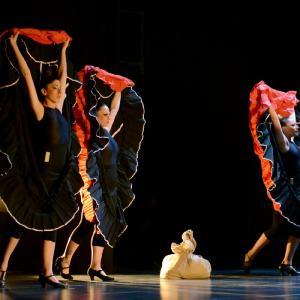 Fotografía de La muerte del deseo - Conservatorio de Danza
