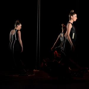 Fotografía de La muerte del deseo - Conservatorio de Danza