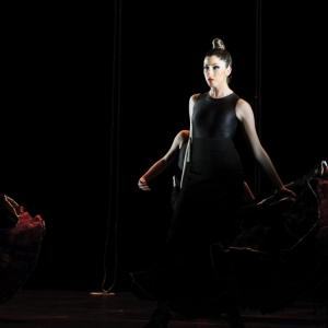 Fotografía de La muerte del deseo - Conservatorio de Danza