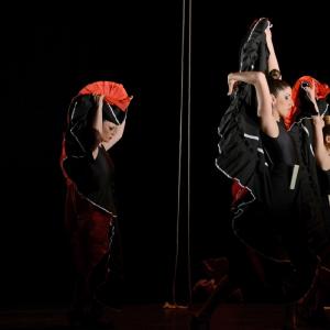 Fotografía de La muerte del deseo - Conservatorio de Danza