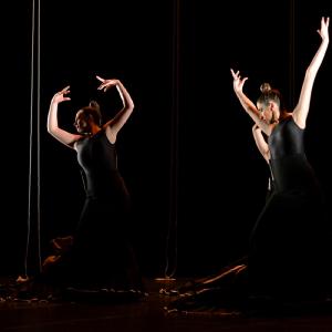 Fotografía de La muerte del deseo - Conservatorio de Danza