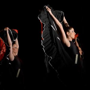 Fotografía de La muerte del deseo - Conservatorio de Danza