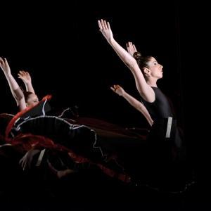 Fotografía de La muerte del deseo - Conservatorio de Danza