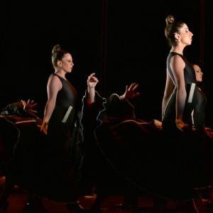 Fotografía de La muerte del deseo - Conservatorio de Danza