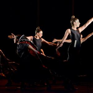 Fotografía de La muerte del deseo - Conservatorio de Danza