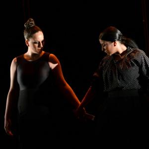 Fotografía de La muerte del deseo - Conservatorio de Danza