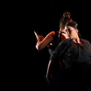 Fotografía de La muerte del deseo - Conservatorio de Danza