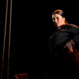 Fotografía de La muerte del deseo - Conservatorio de Danza