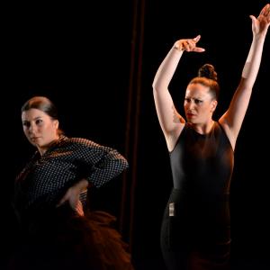 Fotografía de La muerte del deseo - Conservatorio de Danza