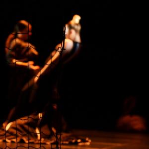 Fotografía de La muerte del deseo - Conservatorio de Danza