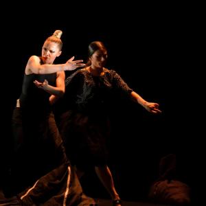 Fotografía de La muerte del deseo - Conservatorio de Danza