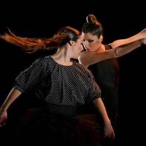 Fotografía de La muerte del deseo - Conservatorio de Danza