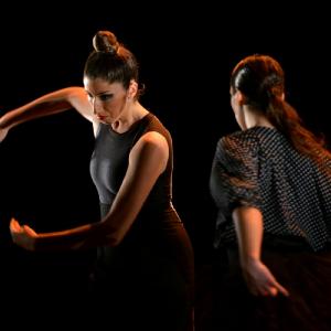 Fotografía de La muerte del deseo - Conservatorio de Danza