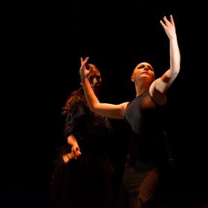 Fotografía de La muerte del deseo - Conservatorio de Danza