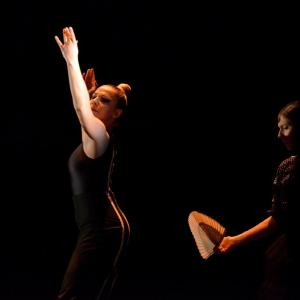 Fotografía de La muerte del deseo - Conservatorio de Danza