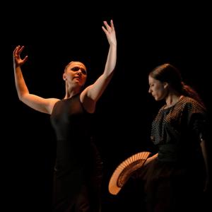 Fotografía de La muerte del deseo - Conservatorio de Danza