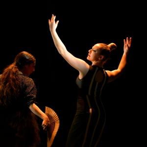 Fotografía de La muerte del deseo - Conservatorio de Danza