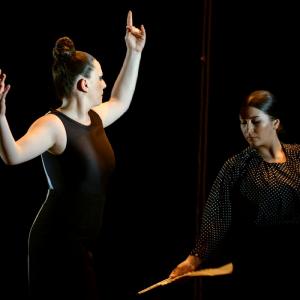 Fotografía de La muerte del deseo - Conservatorio de Danza