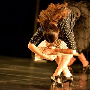 Fotografía de La muerte del deseo - Conservatorio de Danza