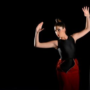 Fotografía de La muerte del deseo - Conservatorio de Danza