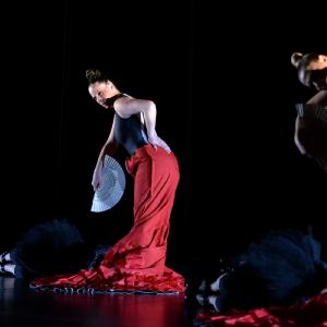 Fotografía de La muerte del deseo - Conservatorio de Danza