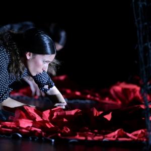 Fotografía de La muerte del deseo - Conservatorio de Danza