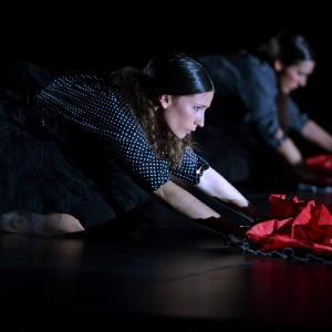Fotografía de La muerte del deseo - Conservatorio de Danza