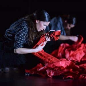 Fotografía de La muerte del deseo - Conservatorio de Danza