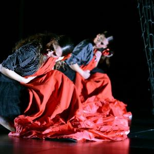 Fotografía de La muerte del deseo - Conservatorio de Danza