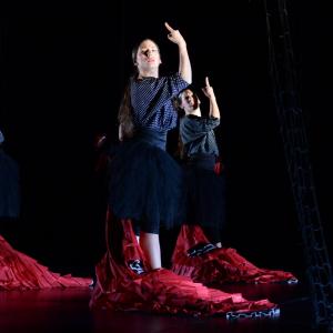 Fotografía de La muerte del deseo - Conservatorio de Danza