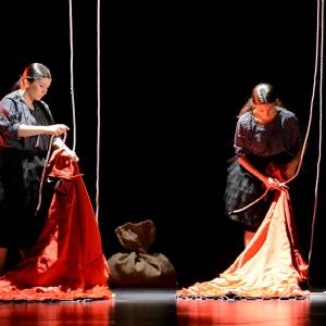 Fotografía de La muerte del deseo - Conservatorio de Danza