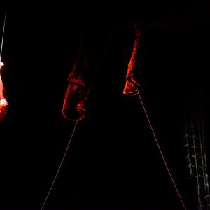 Fotografía de La muerte del deseo - Conservatorio de Danza