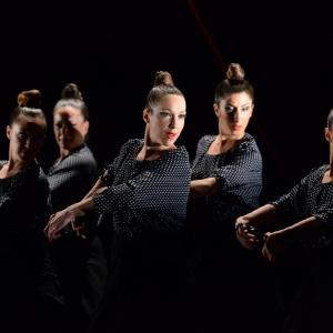 Fotografía de La muerte del deseo - Conservatorio de Danza