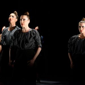 Fotografía de La muerte del deseo - Conservatorio de Danza